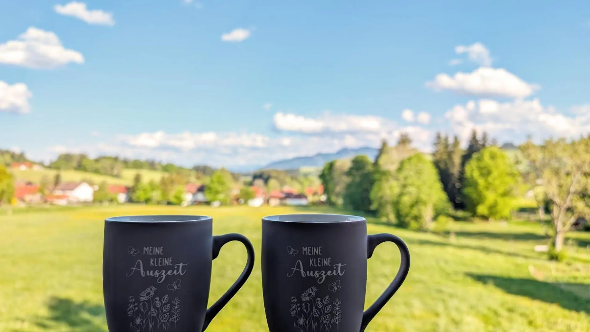 Apartment Ferienwohnung Alpenauszeit Oy-Mittelberg